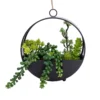 23cm Succulent Artificial Plant In Black Metal Pot 2 23cm Succulent Artificial Plant In Black Metal Pot -Garden Store 23cm succulent artificial plant in black metal pot5010795682485 01c bq