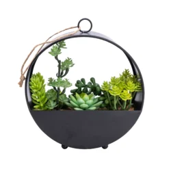 Garden Store -Garden Store 23cm succulent artificial plant in black metal pot5010795682485 02c bq