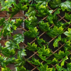 Apollo Maple Leaf Willow Trellis Panel (W)200cm X (H)100cm 7 Apollo Maple Leaf Willow Trellis Panel (W)200cm X (H)100cm -Garden Store apollo maple leaf willow trellis panel w 200cm x h 100cm5037653779309 02i bq