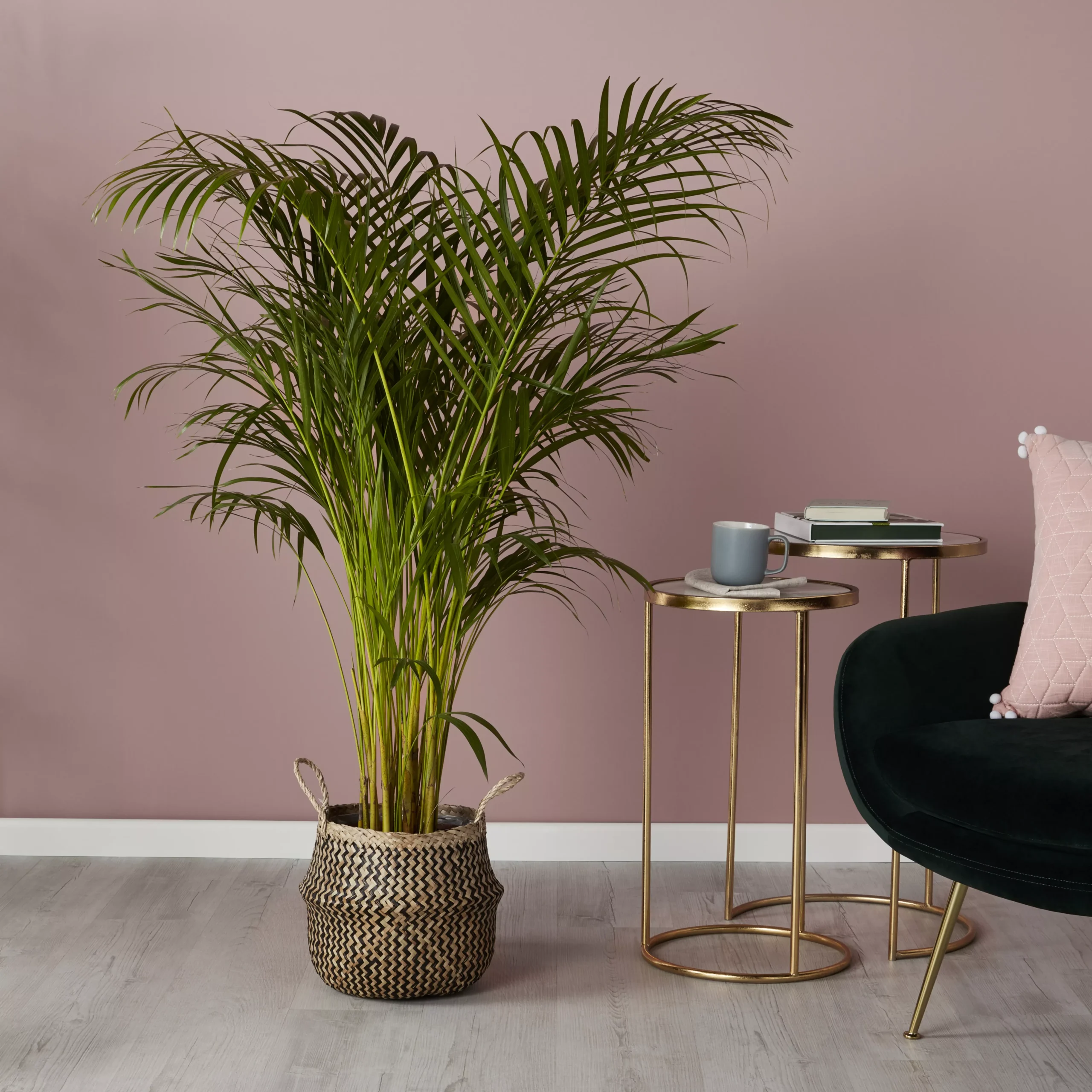 Black Seagrass Herringbone Circular Plant Pot (Dia)25cm 6 Black Seagrass Herringbone Circular Plant Pot (Dia)25cm - Image 4