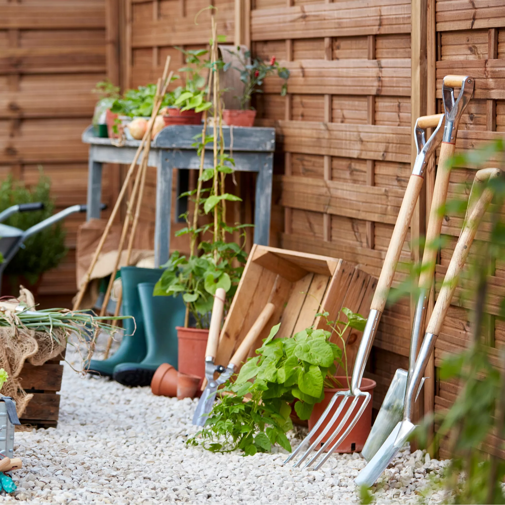 Blooma Douro Pine Gate, (H)1.8m (W)0.9m 4 Blooma Douro Pine Gate, (H)1.8m (W)0.9m - Image 2