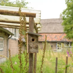 CJ Wildlife Kopervik Natural Nest Box -Garden Store cj wildlife kopervik natural nest box5051054263069 01i