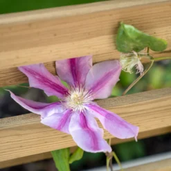 Forest Garden Living Screen Natural Timber Rectangular Planter (H) 180cm X (W) 90cm 10 Forest Garden Living Screen Natural Timber Rectangular Planter (H) 180cm X (W) 90cm -Garden Store forest garden living screen natural timber rectangular planter h 180cm x w 90cm5013053190227 02i