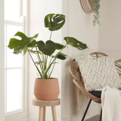 GoodHome Lummi Beige Terracotta Slanting Stripes Circular Plant Pot (Dia)23.5cm 7 GoodHome Lummi Beige Terracotta Slanting Stripes Circular Plant Pot (Dia)23.5cm -Garden Store goodhome lummi beige terracotta slanting stripes circular plant pot dia 23 5cm5059340327914 01i