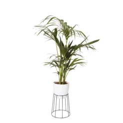 GoodHome Metal Pot Stand 8 GoodHome Metal Pot Stand -Garden Store goodhome metal pot stand3663602442387 21c bq