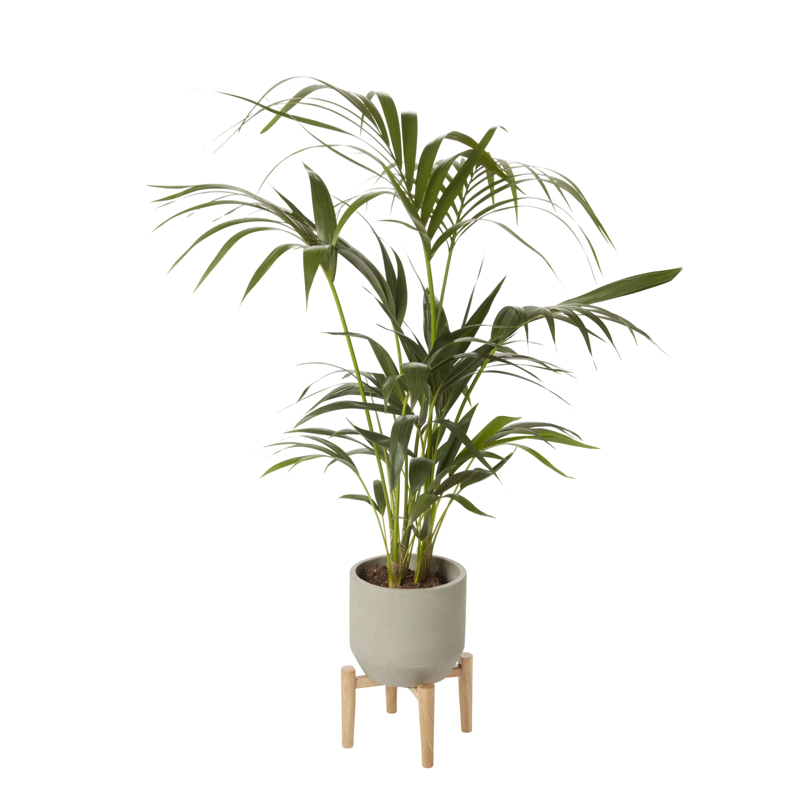 GoodHome Natural Wood Plant Pot (Dia)27.2cm 4 GoodHome Natural Wood Plant Pot (Dia)27.2cm - Image 2