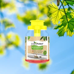 Green Protect Wasp Trap -Garden Store green protect wasp trap5060525033469 01i bq