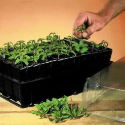 Haxnicks Deep Rootrainer 37cm -Garden Store haxnicks deep rootrainer 37cm0651609107012 01i