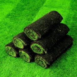 Lawn Turf, 33m² Pack 13 Lawn Turf, 33m² Pack -Garden Store lawn turf 33m pack3663602195085 04i