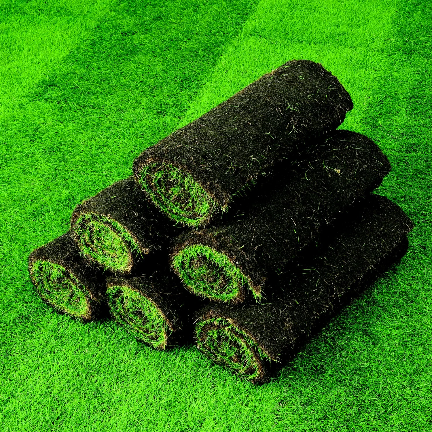 Lawn Turf, 33m² Pack 8 Lawn Turf, 33m² Pack - Image 6