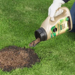 Miracle-Gro Patch Magic Lawn Patch Repairer 13m² 1L 1kg -Garden Store miracle gro patch magic lawn patch repairer 13m 1l 1kg5010272090567 01i bq