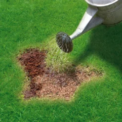 Miracle-Gro Patch Magic Lawn Patch Repairer 13m² 1L 1kg -Garden Store miracle gro patch magic lawn patch repairer 13m 1l 1kg5010272090567 02i bq