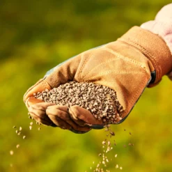 Miracle-Gro Perform Universal Plant Feed Granules 2kg -Garden Store miracle gro perform universal plant feed granules 2kg5010272189032 01i BQ