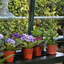 Rion Grand Gardner Green 8x16 Greenhouse -Garden Store rion grand gardner green 8x16 greenhouse7290103121594 37c