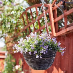 Smart Garden Pansy Artificial Lilac & Green Round Plastic Hanging Basket, 25cm -Garden Store smart garden pansy artificial lilac green round plastic hanging basket 25cm5050642019194 01i bq