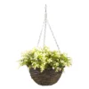 Smart Garden Petunia Artificial Green Round Plastic Hanging Basket, 25cm -Garden Store smart garden petunia artificial green round plastic hanging basket 25cm5050642019187 02c bq
