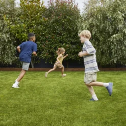 Verve Family & Sports Grass Seeds, 1.5kg -Garden Store verve family sports grass seeds 1 5kg3663602947516 01i