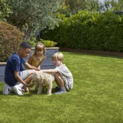 Verve Family & Sports Grass Seeds, 10kg 17 Verve Family & Sports Grass Seeds, 10kg -Garden Store verve family sports grass seeds 10kg3663602947516 04i