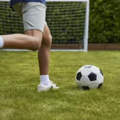 Verve Family & Sports Grass Seeds, 10kg 19 Verve Family & Sports Grass Seeds, 10kg -Garden Store verve family sports grass seeds 10kg3663602947516 06i