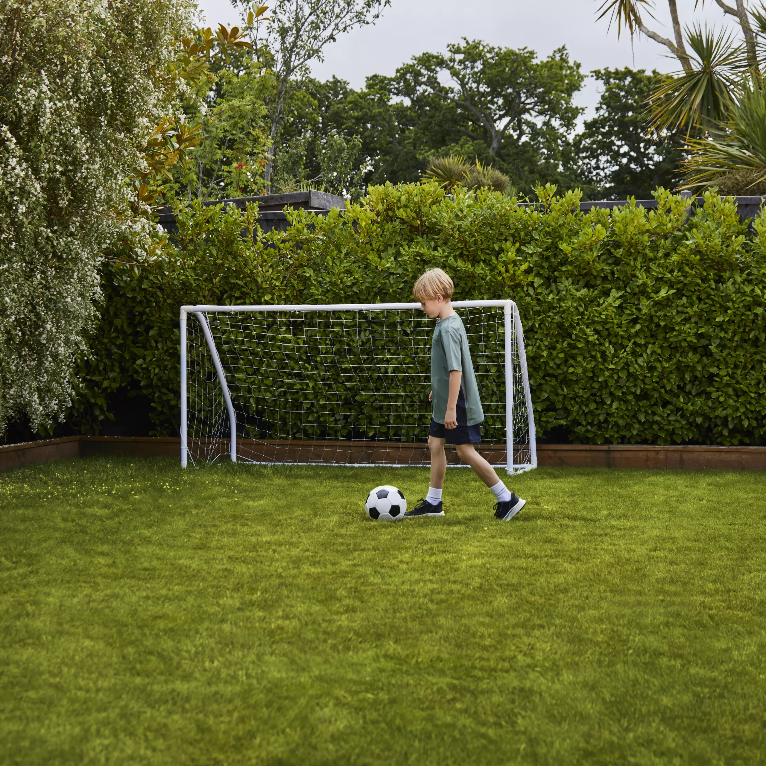 Verve Family & Sports Grass Seeds, 5kg 10 Verve Family & Sports Grass Seeds, 5kg - Image 8