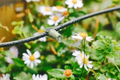 Verve Irrigation Kit 20 Pieces 7 Verve Irrigation Kit 20 Pieces -Garden Store verve irrigation kit 20 pieces5063022059888 02i