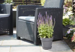 Verve Nurgul Peyote Rectangular Trough 9 Verve Nurgul Peyote Rectangular Trough -Garden Store verve nurgul peyote rectangular trough5059340387949 22c