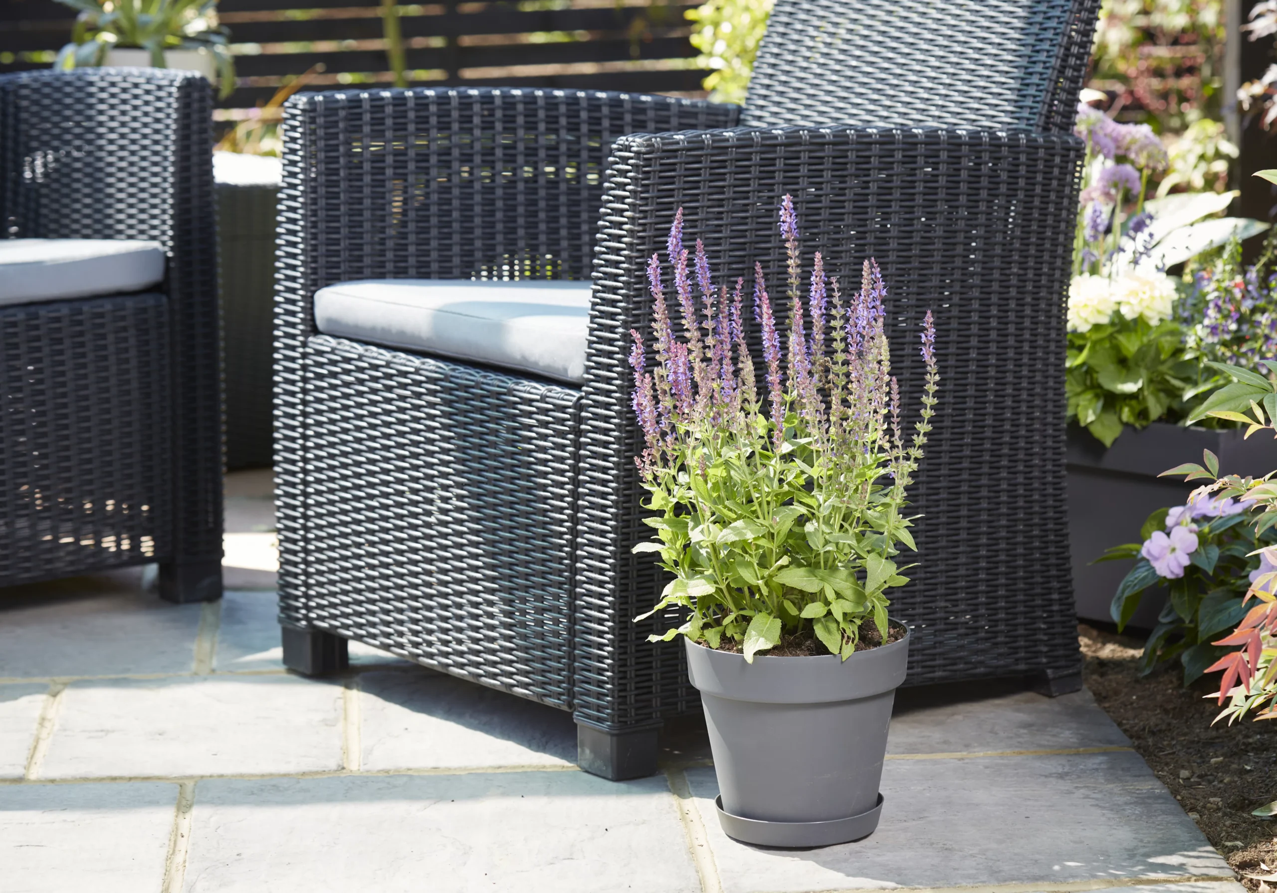 Verve Nurgul Peyote Rectangular Trough 6 Verve Nurgul Peyote Rectangular Trough - Image 4