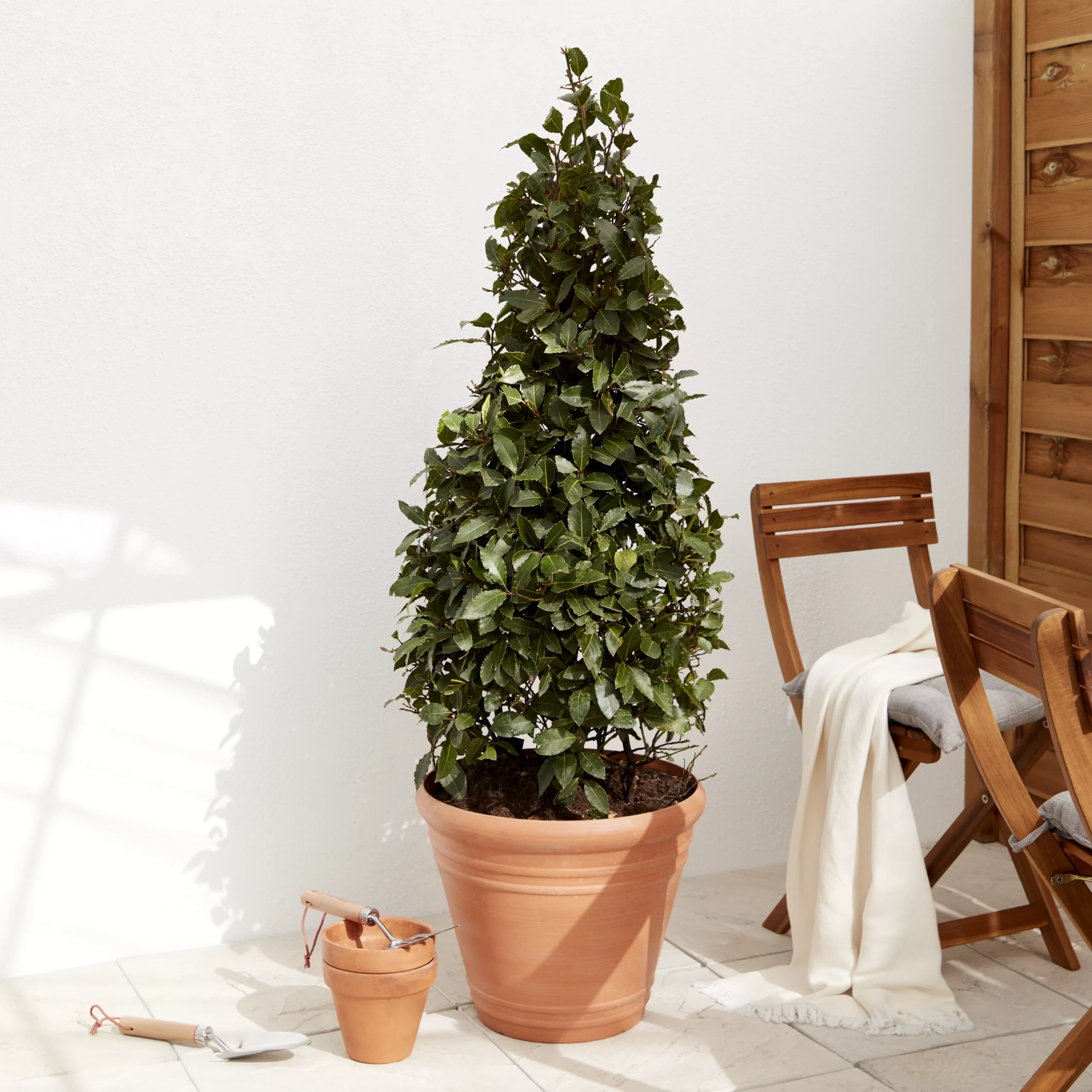 Verve Piave Terracotta Polypropylene (PP) Round Plant Pot (Dia)45cm 5 Verve Piave Terracotta Polypropylene (PP) Round Plant Pot (Dia)45cm - Image 3