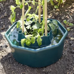 Verve Plastic Plant Support 28cm, Pack Of 3 7 Verve Plastic Plant Support 28cm, Pack Of 3 -Garden Store verve plastic plant support 28cm pack of 33663602557715 01i