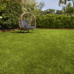 Verve Sunny Grass Seeds, 5kg 8 Verve Sunny Grass Seeds, 5kg -Garden Store verve sunny grass seeds 5kg3663602947578 01i