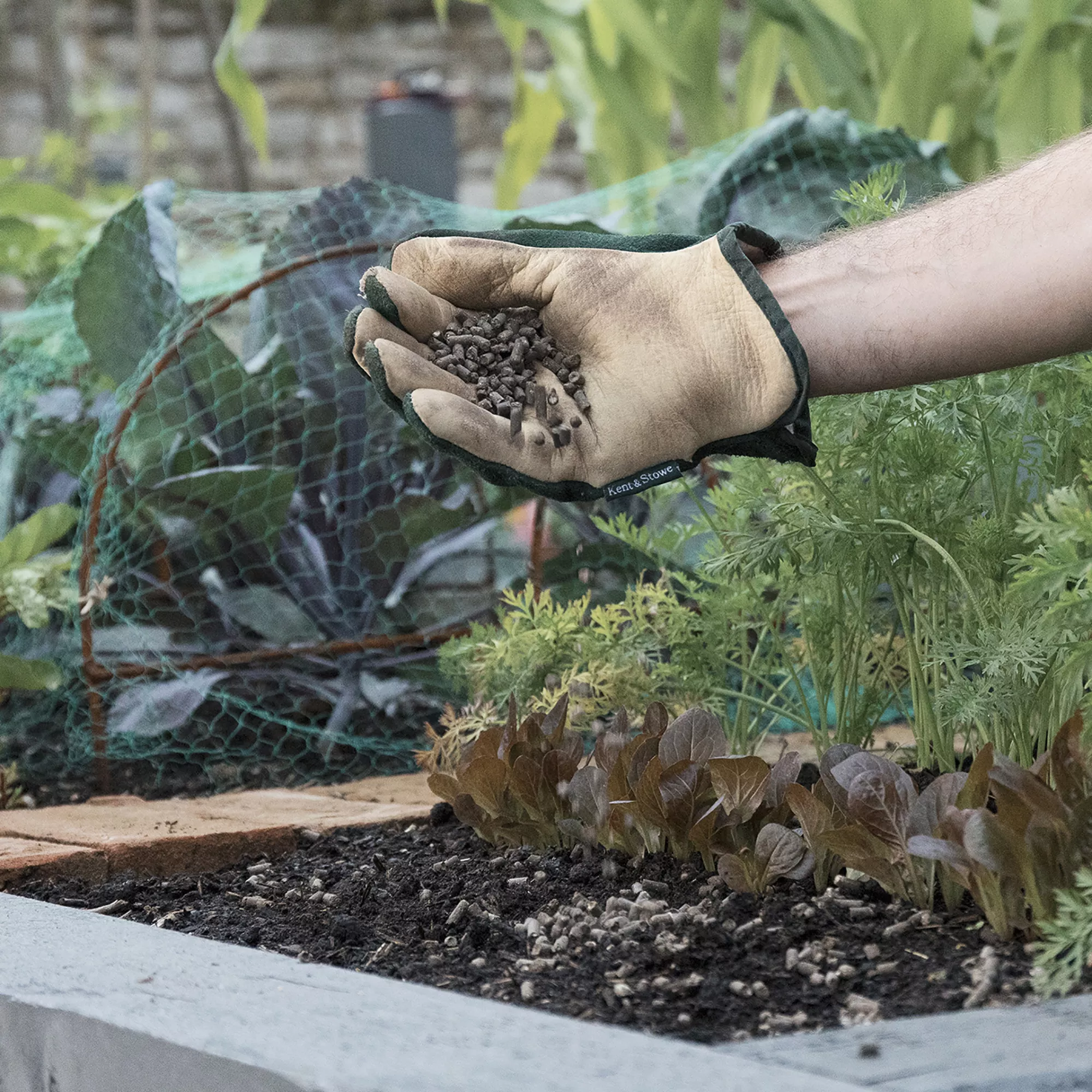 Westland Chicken Manure Pellets, 10kg 4 Westland Chicken Manure Pellets, 10kg - Image 2