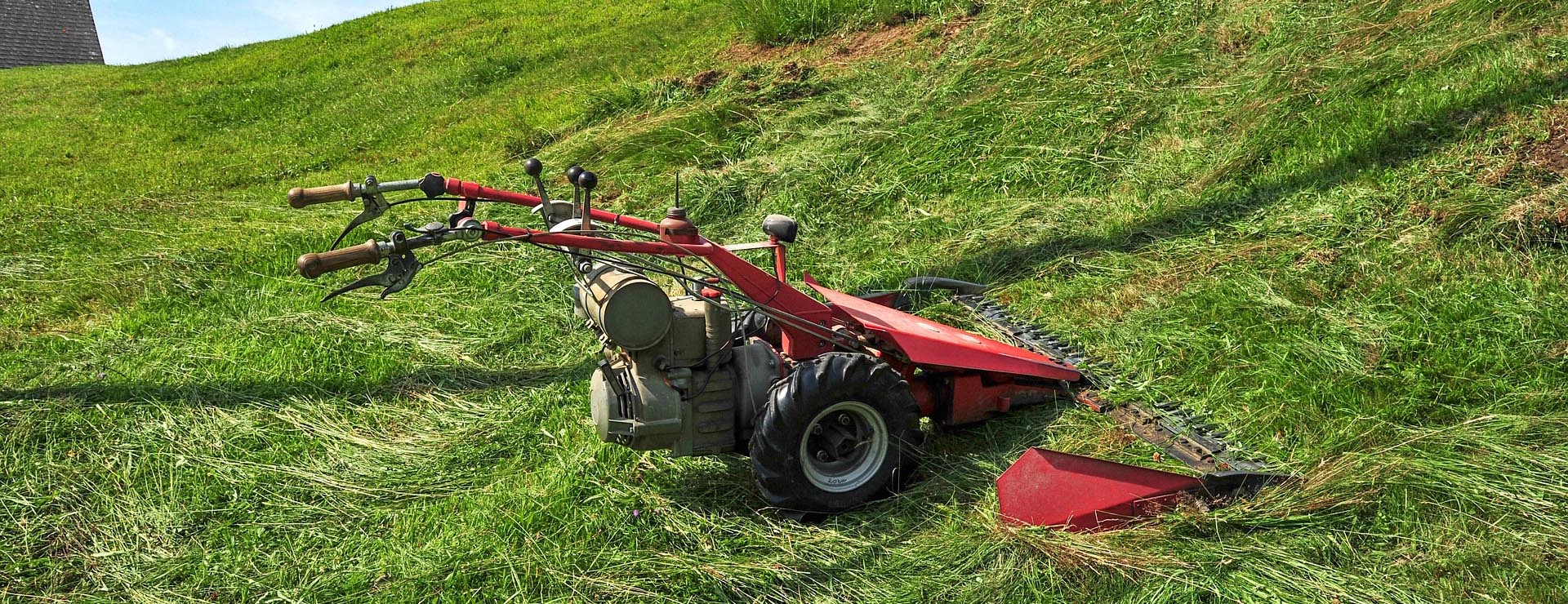 Garden Store 1 Garden Store -Garden Store motor mower 4358140 1920